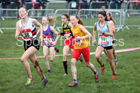 Junior girls 2019 New Balance English Schools Cross Country Champs, Temple Newsam, Leeds. Photo:  David T. Hewitson/Sports for All Pics
